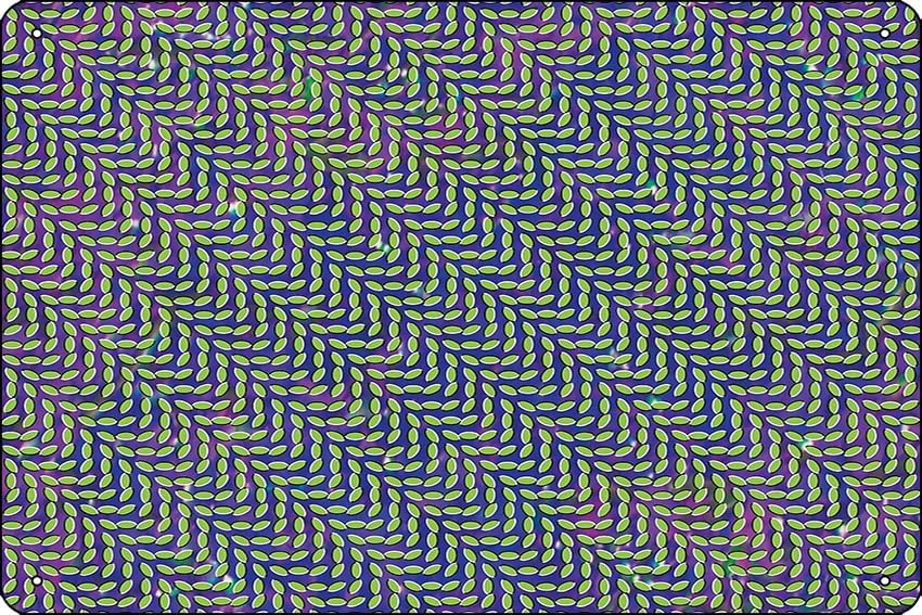 Home Office X Post - Animal Collective - Merriweather Post Pavilion